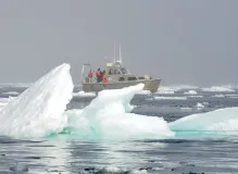 Stay Warm and Stylish with Striker Ice Trekker Bibs!