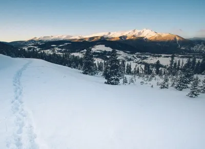 Embark on an Epic Adventure with the Trail Trekker - Stay Updated with the Latest News!