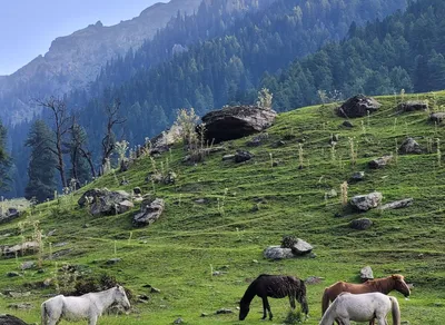 Discover the Best Scandi Trekker Tops for Your Adventurous Journey