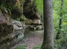 Discover the Latest Trail Trekker News for Adventure Enthusiasts