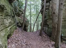 Discover the Ultimate Ozark Trail Trekking Pole: Your Adventure Awaits!