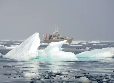 Stay Warm and Stylish with Striker Ice Trekker Bibs!