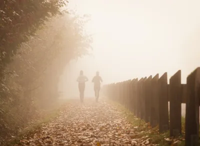 Master the Outdoors with the Ultimate Ozark Trail Trekking Pole!