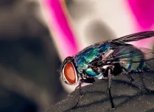 Discover the Perfect Fly Trekker Helmet for Your Adventure!