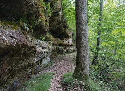 Discover the Latest Trail Trekker News for Adventure Enthusiasts