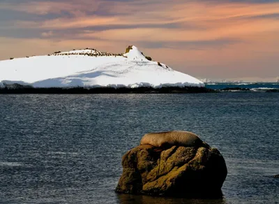 Stay Warm and Dry with Striker Ice Trekker Bibs - Perfect for Fishing or Ice Fishing!