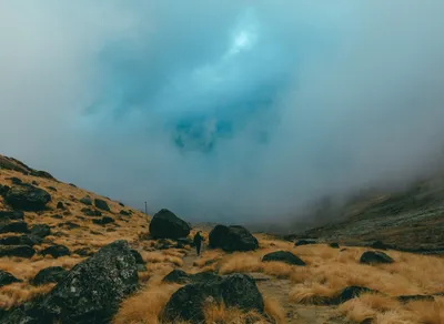 Unleash Your Inner Trail Trekker and Explore the Great Outdoors!