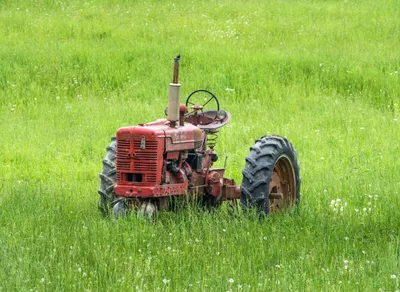 Unlock the Ultimate Hiking Experience with Ozark Trail Trekking Poles!