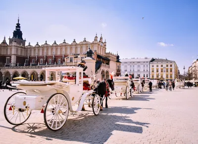 Explore the Versatility of the Zuca Trekker Cart - Your Perfect Travel Companion!