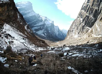 Top 10 Trekker Bags for Adventurous Travelers - Find Your Perfect Fit!