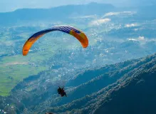 Explore the Convaid Trekker: Your Ultimate Guide to Adaptive Mobility